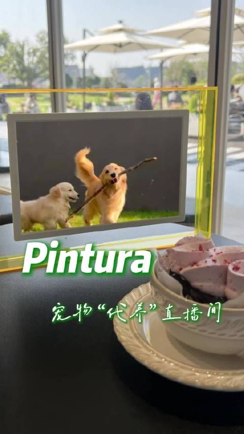 留守宠物萌态隔屏解相思,数码相框记录64G毛孩子日常