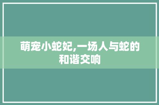 萌宠小蛇妃,一场人与蛇的和谐交响