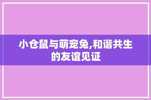 小仓鼠与萌宠兔,和谐共生的友谊见证