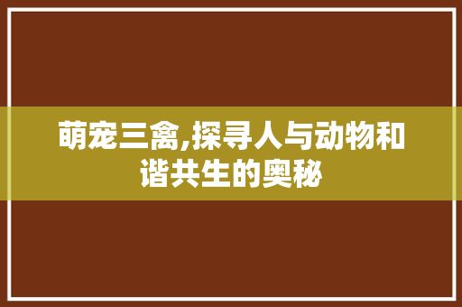萌宠三禽,探寻人与动物和谐共生的奥秘