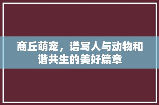 商丘萌宠，谱写人与动物和谐共生的美好篇章