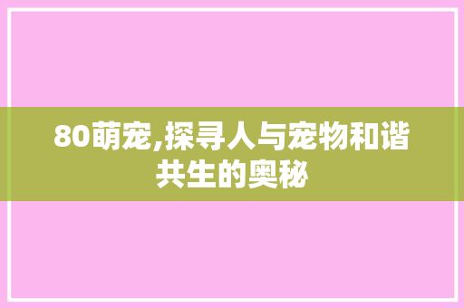 80萌宠,探寻人与宠物和谐共生的奥秘