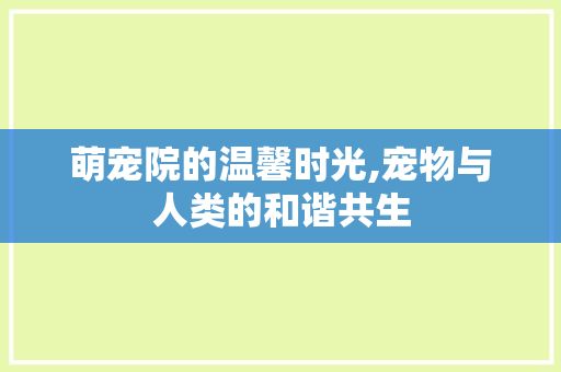 萌宠院的温馨时光,宠物与人类的和谐共生