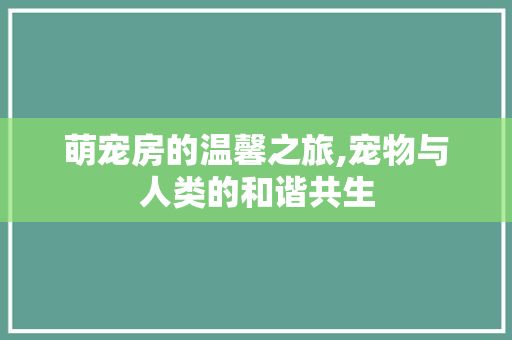 萌宠房的温馨之旅,宠物与人类的和谐共生