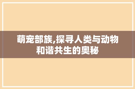 萌宠部族,探寻人类与动物和谐共生的奥秘