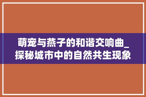 萌宠与燕子的和谐交响曲_探秘城市中的自然共生现象