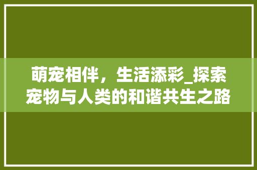 萌宠相伴，生活添彩_探索宠物与人类的和谐共生之路