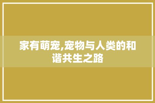家有萌宠,宠物与人类的和谐共生之路