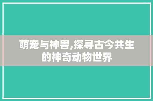 萌宠与神兽,探寻古今共生的神奇动物世界