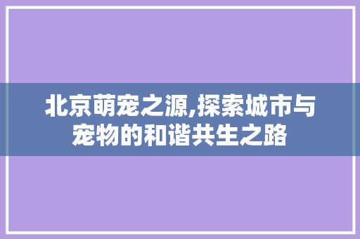 北京萌宠之源,探索城市与宠物的和谐共生之路