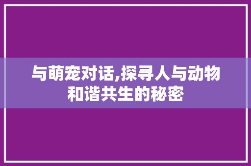与萌宠对话,探寻人与动物和谐共生的秘密