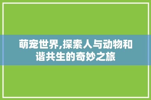 萌宠世界,探索人与动物和谐共生的奇妙之旅