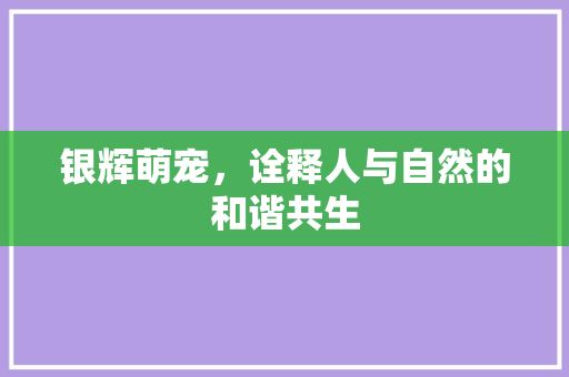 银辉萌宠，诠释人与自然的和谐共生