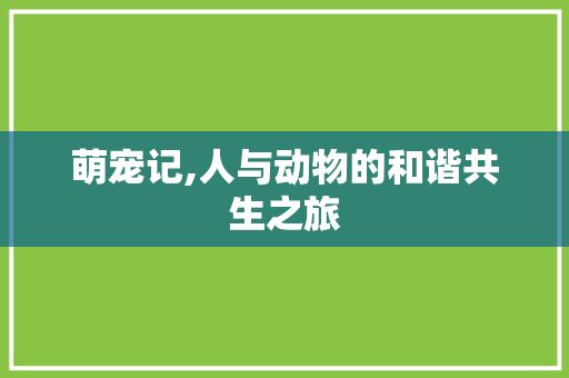 萌宠记,人与动物的和谐共生之旅