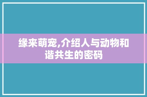 缘来萌宠,介绍人与动物和谐共生的密码