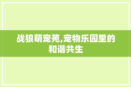 战狼萌宠苑,宠物乐园里的和谐共生
