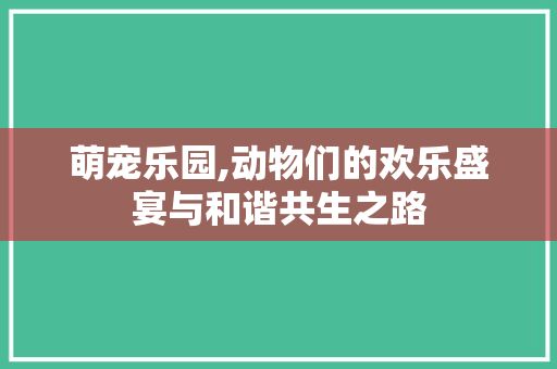萌宠乐园,动物们的欢乐盛宴与和谐共生之路