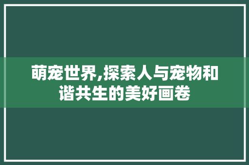 萌宠世界,探索人与宠物和谐共生的美好画卷