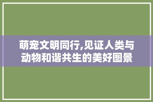 萌宠文明同行,见证人类与动物和谐共生的美好图景