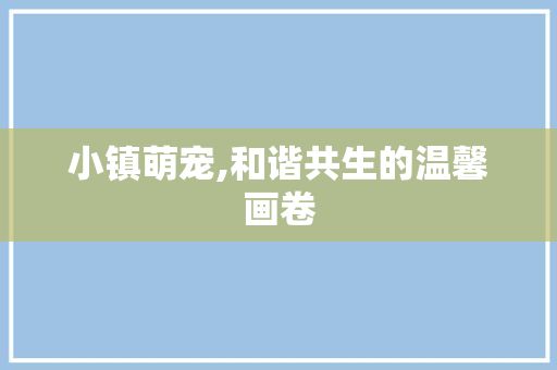 小镇萌宠,和谐共生的温馨画卷