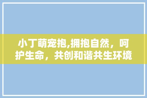 小丁萌宠抱,拥抱自然，呵护生命，共创和谐共生环境