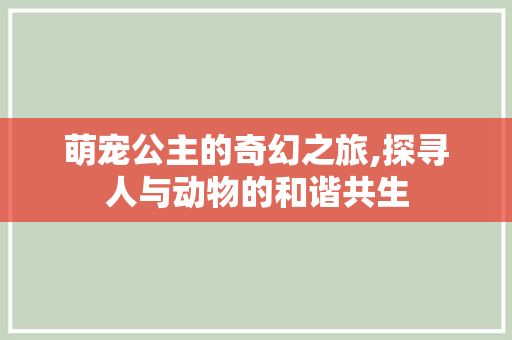 萌宠公主的奇幻之旅,探寻人与动物的和谐共生