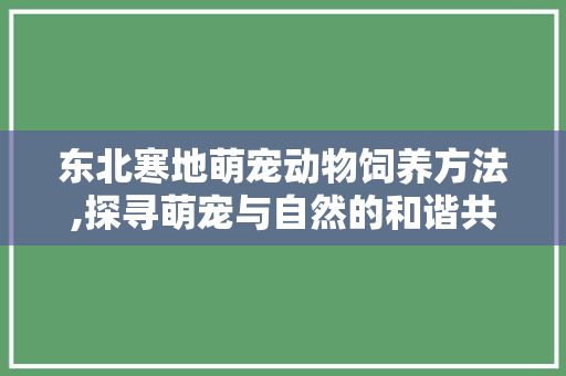东北寒地萌宠动物饲养方法,探寻萌宠与自然的和谐共生