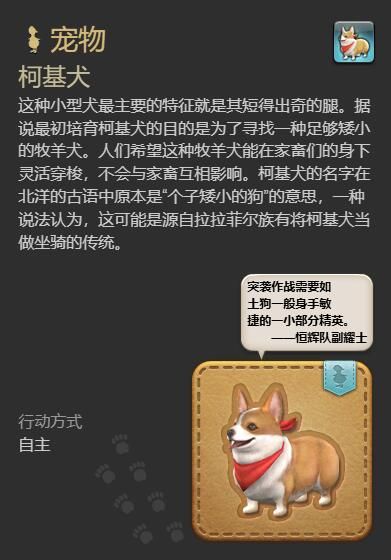 游侠网4
