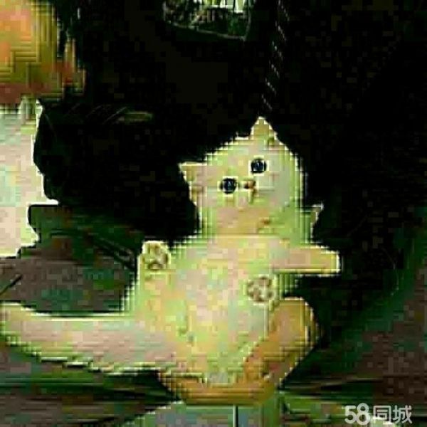 店主头像