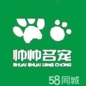 店主头像