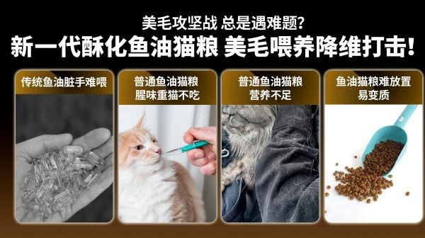 美毛赛道迎来「成分革命」！布兰德以95%高纯鱼油破局功能粮内卷 