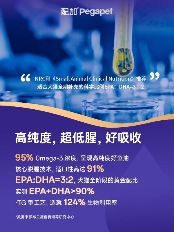 美毛赛道迎来「成分革命」！布兰德以95%高纯鱼油破局功能粮内卷 