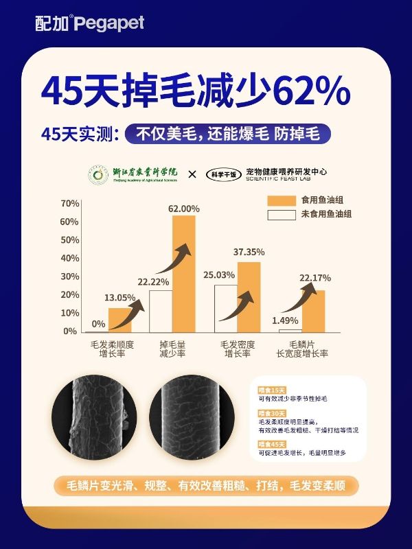 美毛赛道迎来「成分革命」！布兰德以95%高纯鱼油破局功能粮内卷 
