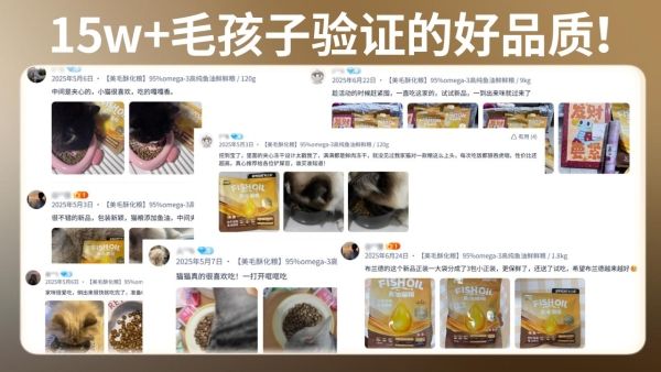 美毛赛道迎来「成分革命」！布兰德以95%高纯鱼油破局功能粮内卷 