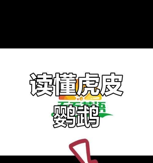 教鹦鹉说话的技巧与方法（培养鹦鹉口才的是耐心和坚持）