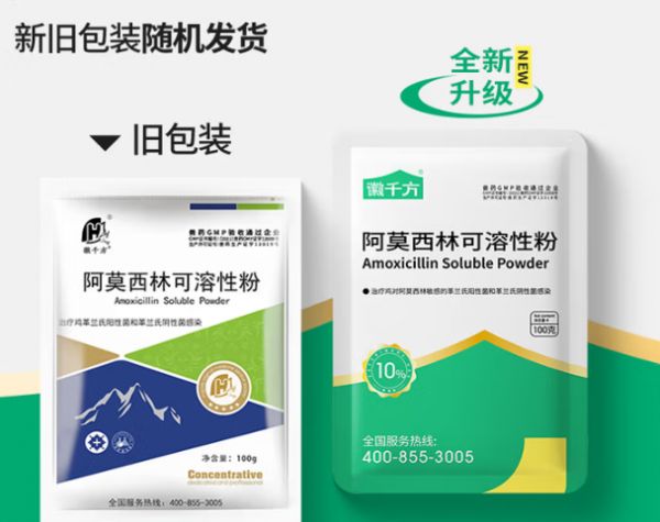 徽千方阿莫西林可溶性粉：宠物抗感染治疗的“黄金标准”