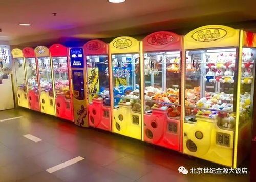 探秘金源商厦萌宠乐园，萌宠聚集地，亲子欢乐时光！