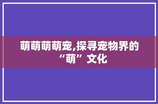 萌萌萌萌宠,探寻宠物界的“萌”文化