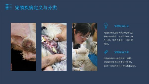 宠物疾病百科知识讲座_第4页