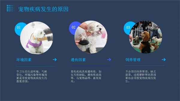 宠物疾病百科知识讲座_第5页