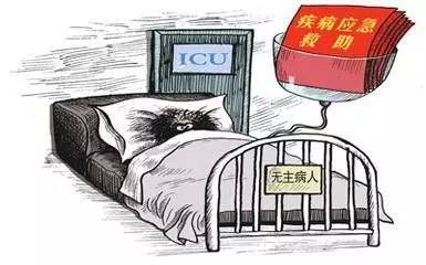 宠物脱臼紧急救助指南
