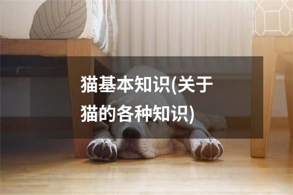 猫基本知识(关于猫的各种知识)