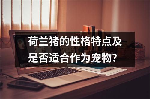 荷兰猪的性格特点及是否适合作为宠物？