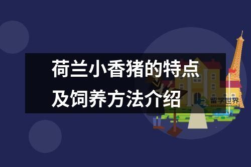 荷兰小香猪的特点及饲养方法介绍