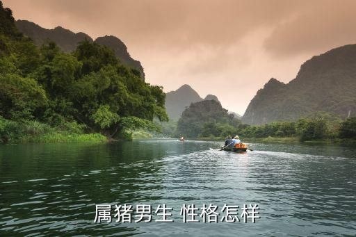 属猪男生 性格怎样