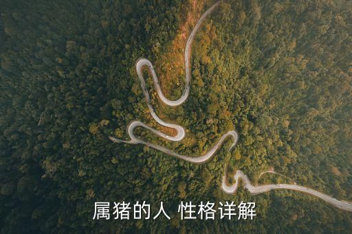 属猪的人 性格详解