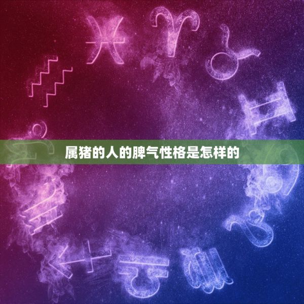属猪的人的脾气性格是怎样的，猪的性格特点是什么 第1张