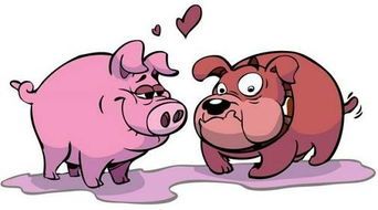 属猪人性格特点：是否易怒？了解属猪人的脾气表现