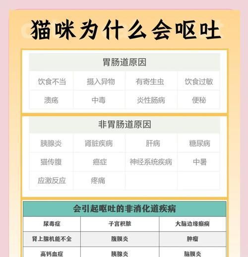 猫咪断奶后吃猫粮呕吐是什么原因？如何解决？