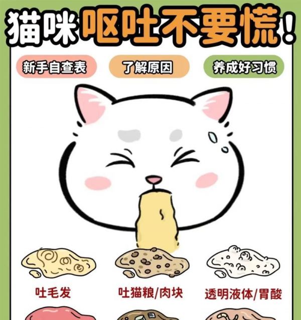 猫咪断奶后吃猫粮呕吐是什么原因？如何解决？
